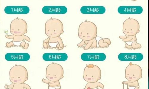 蒲江雀舌介绍-蒲江雀舌的功效与作用网 | 蒲江雀舌248克绿茶价格,蒲江雀舌介绍