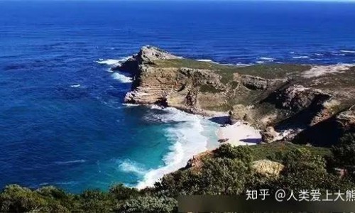 蒲江雀舌介绍-蒲江雀舌的功效与作用网 | 蒲江雀舌248克绿茶价格,蒲江雀舌介绍