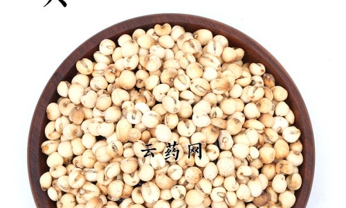 蒲江雀舌的功效与作用网 | 蒲江雀舌248克绿茶价格,蒲江雀舌介绍